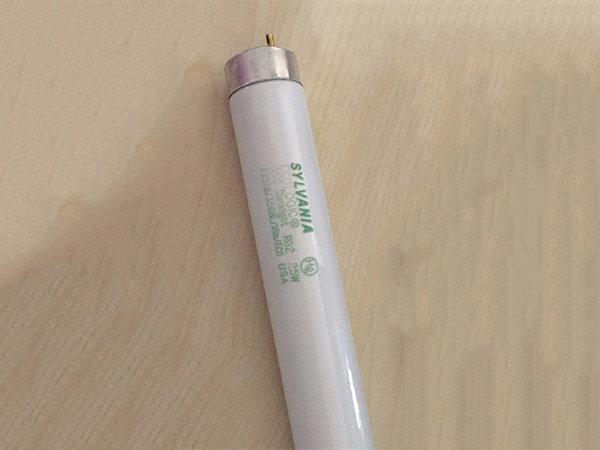 粘捕式滅蠅燈滅蚊燈