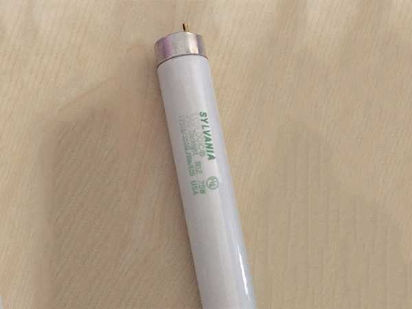 粘帶粘蟲紙