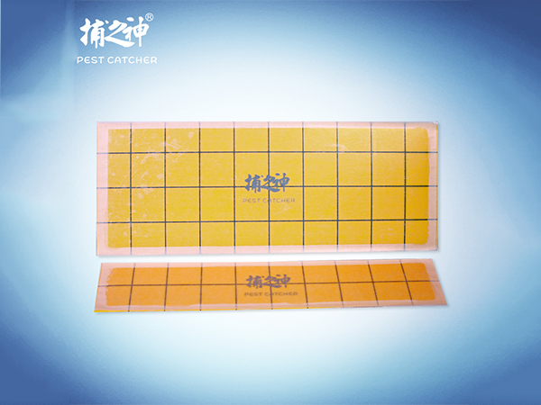 粘帶粘蟲紙